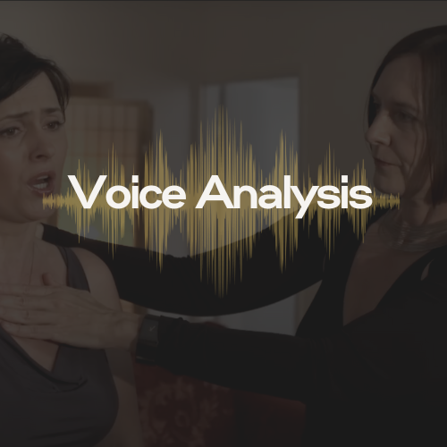 Online Voice Analysis